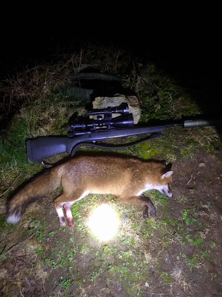 Irish Fox Hunt 2.jpeg