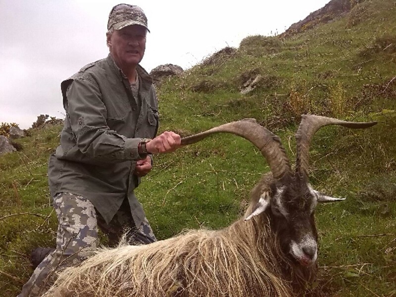 Ibex Ireland Kerry.jpeg