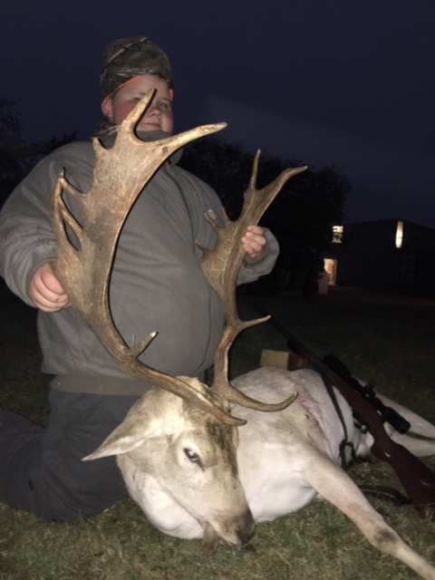 Fallow Stag 2017.jpeg