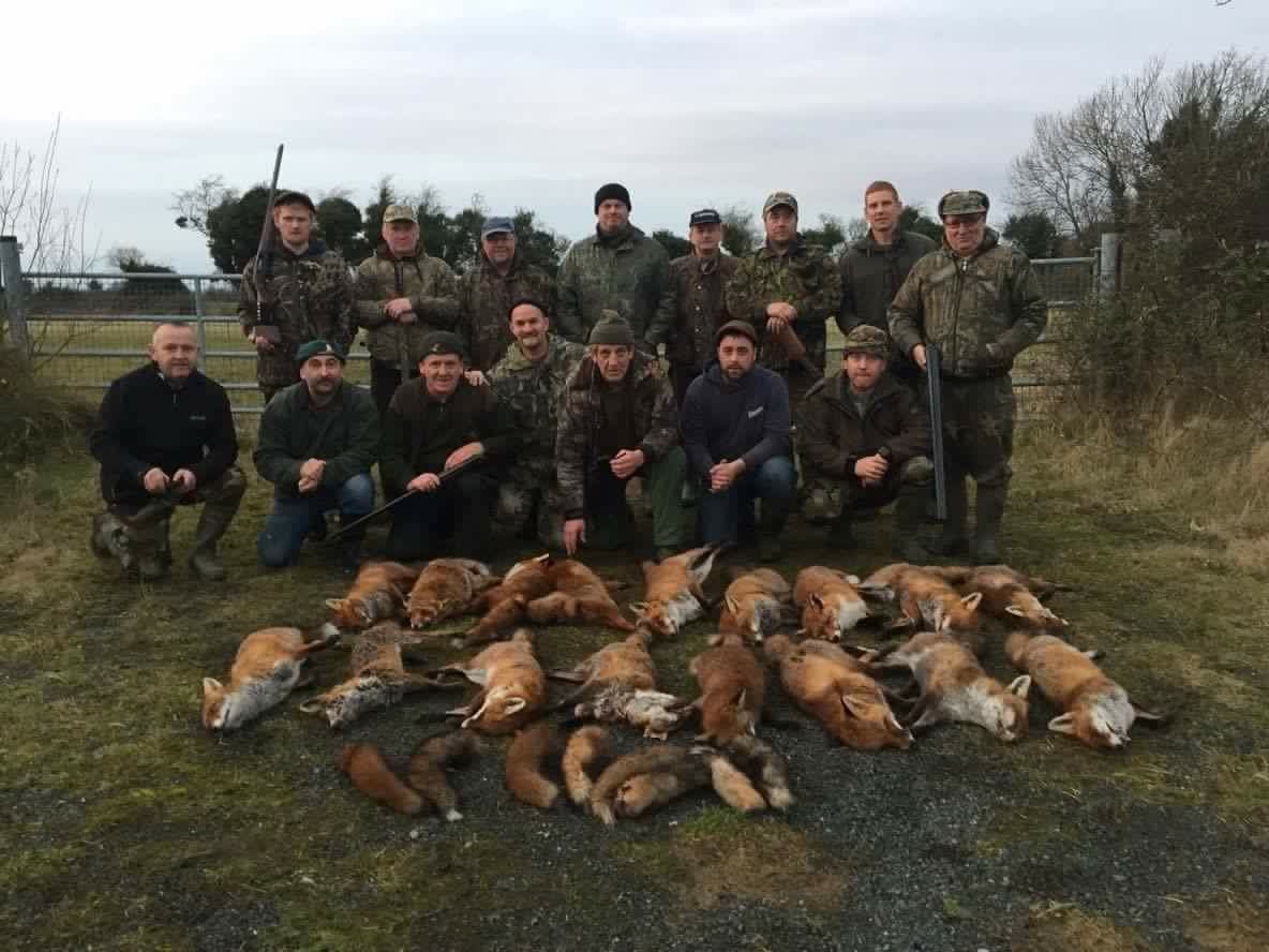 Foxes.jpeg