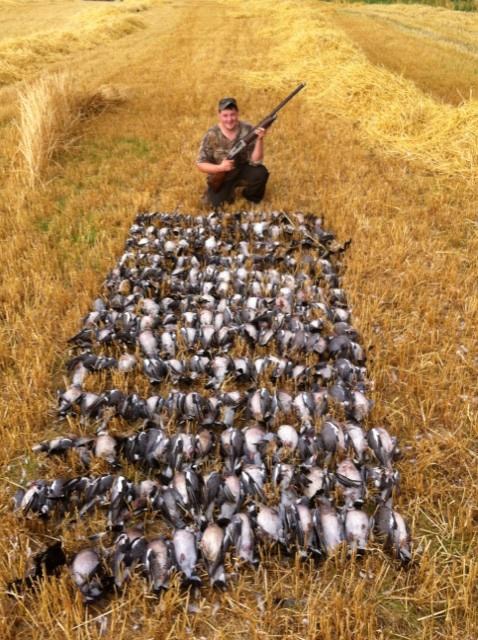 Ireland Wood Pigeon Shoot.jpeg