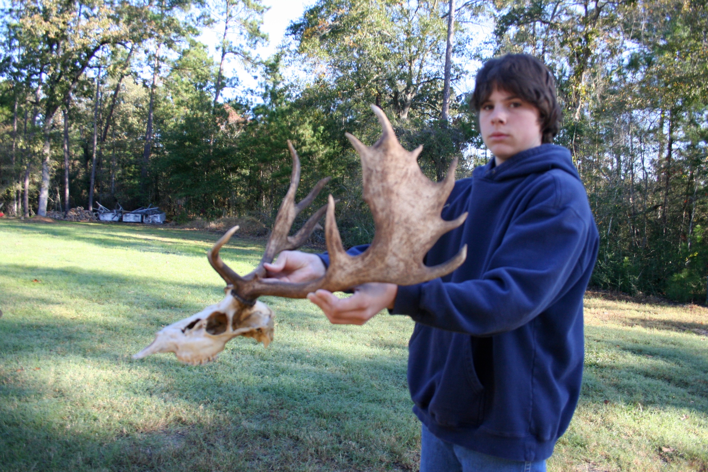 Fallow Deer Ireland (14).jpeg