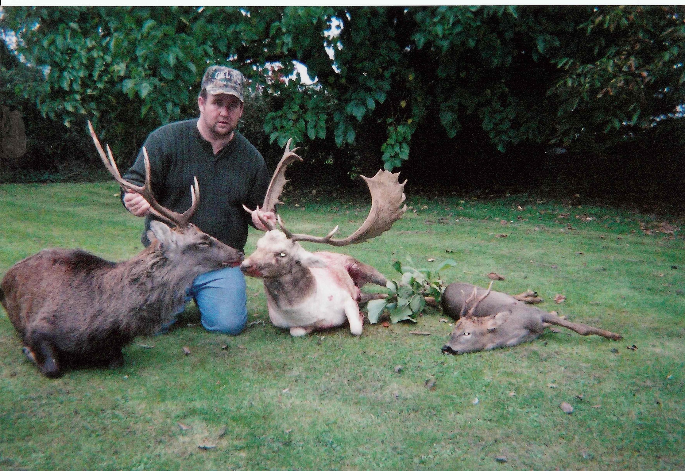 Fallow Deer Ireland (15).jpeg