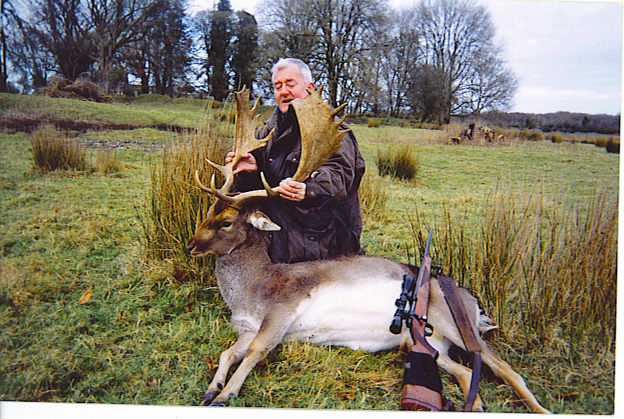 Fallow Deer Ireland 11 .jpeg