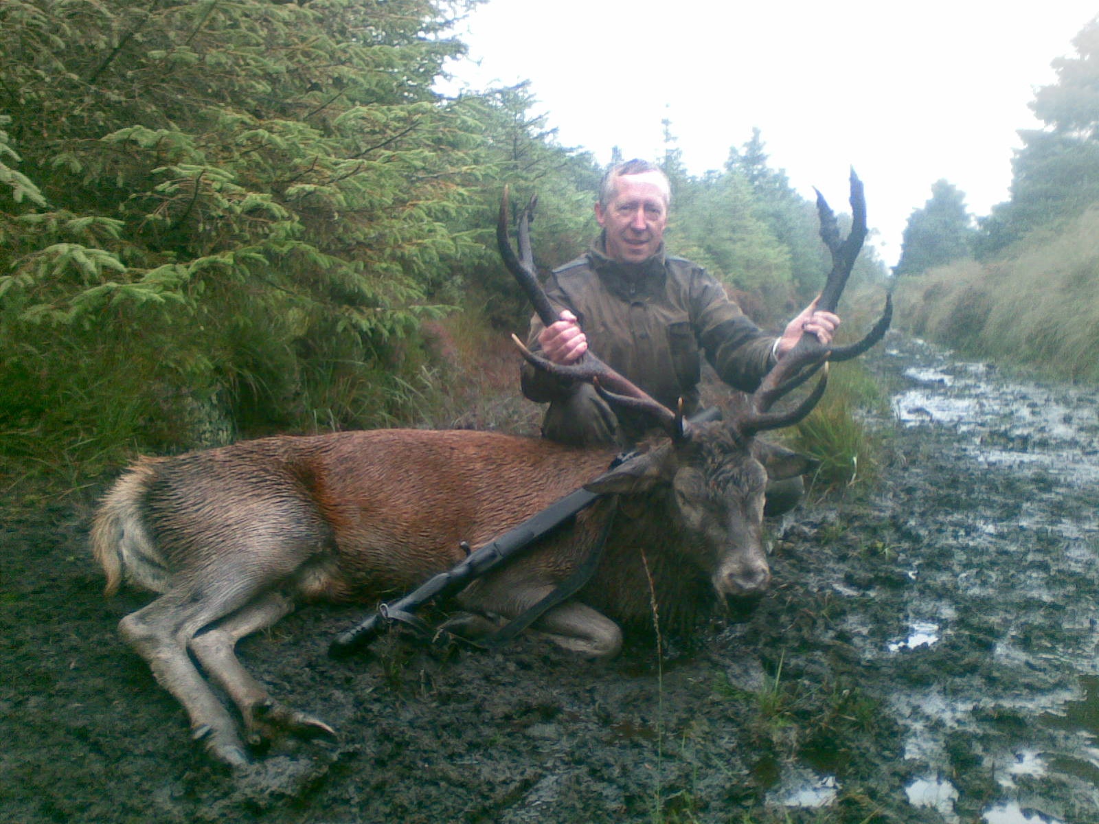 Red Stag Ireland 8.jpeg