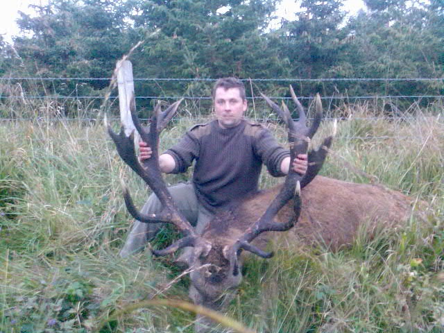 Red stag 18.jpeg