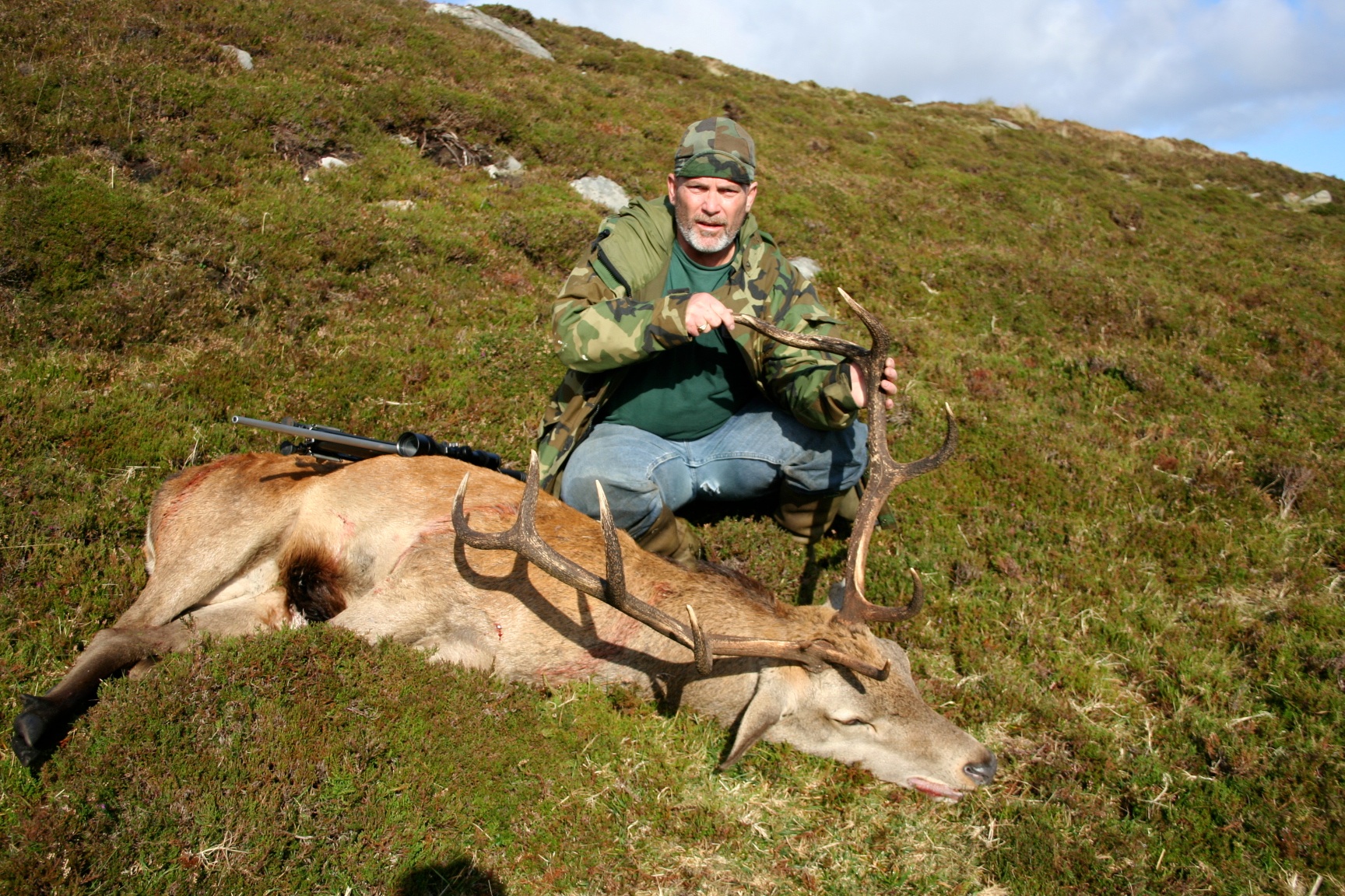 Wicklow Red Stag 5.jpeg