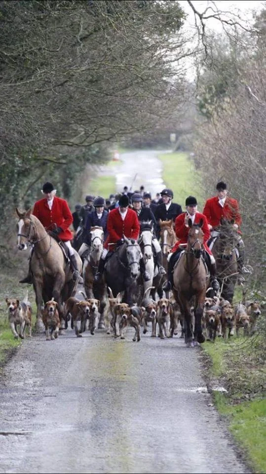 Laois Fox hunt 2016.JPG