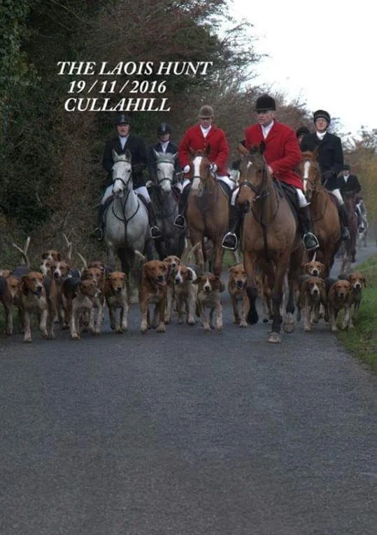 Laois Fox hunt 2016 (5).JPG