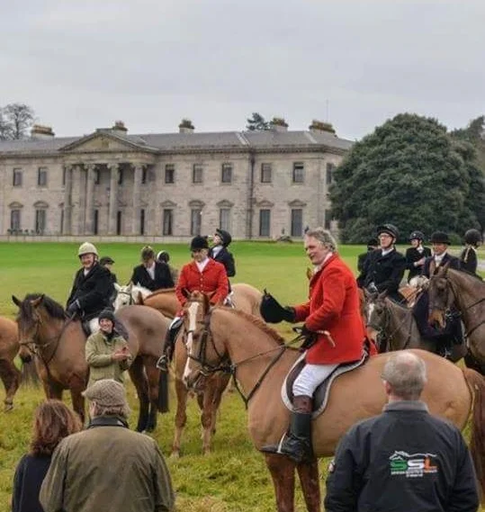 Laois Fox hunt 2016 (11).JPG