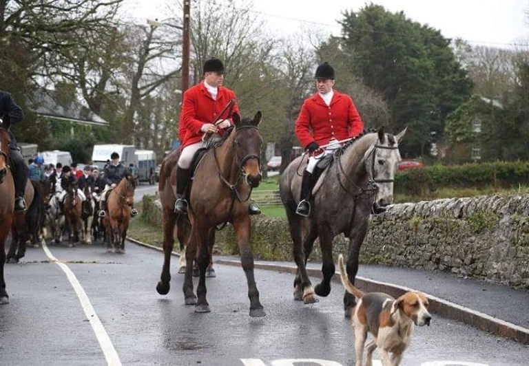 Laois Fox hunt 2016 (18).JPG