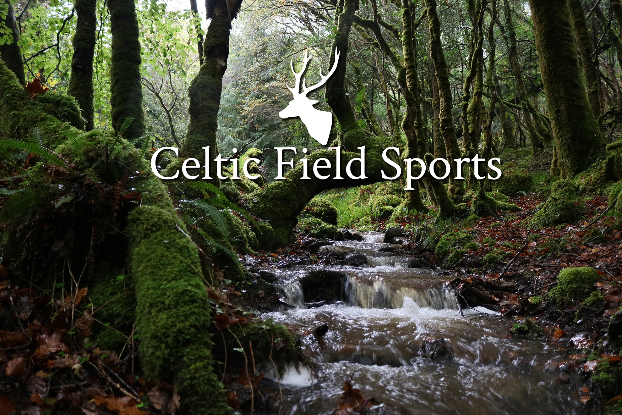 CFS Cover 1.jpg
