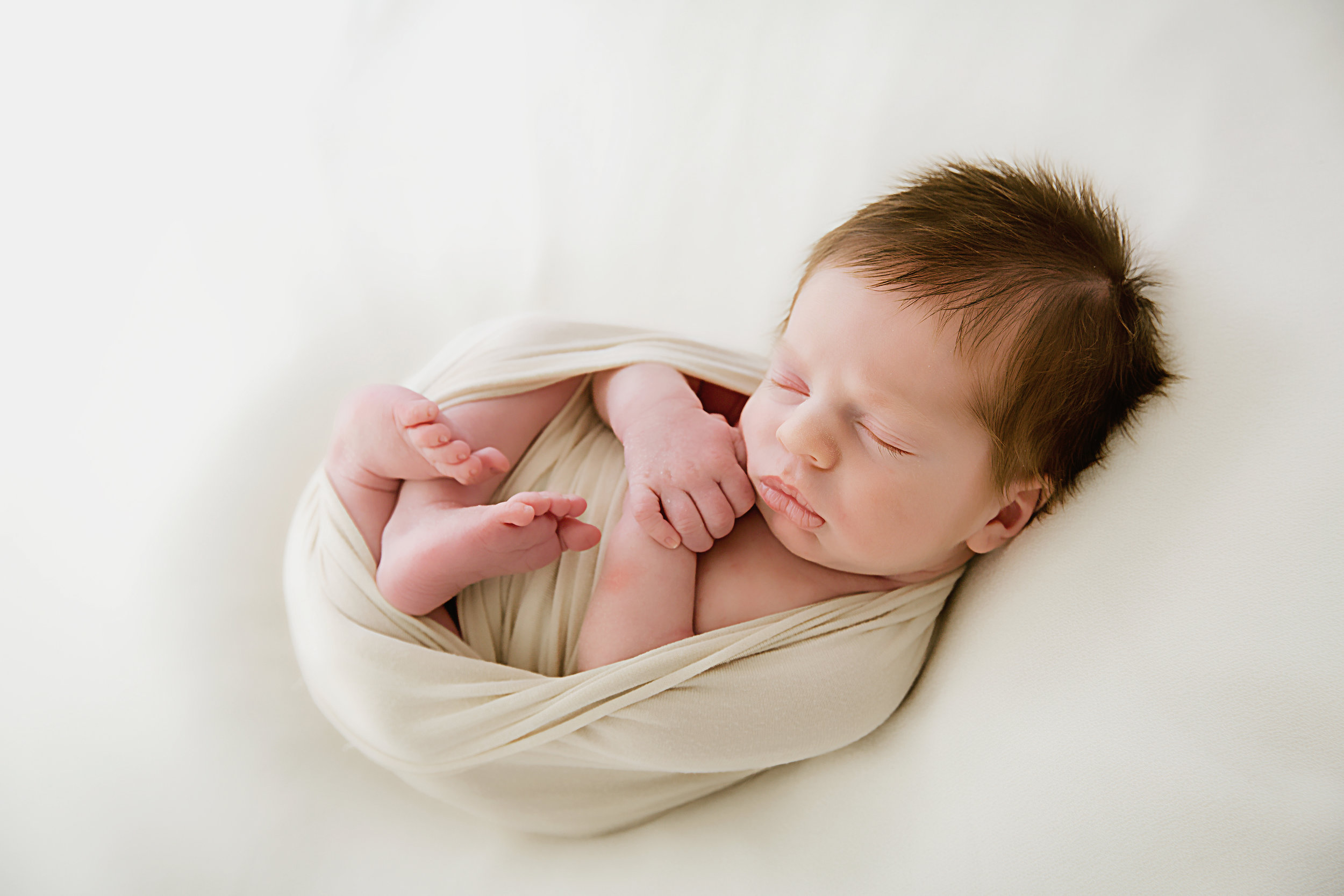 10 day old baby boy newborn session