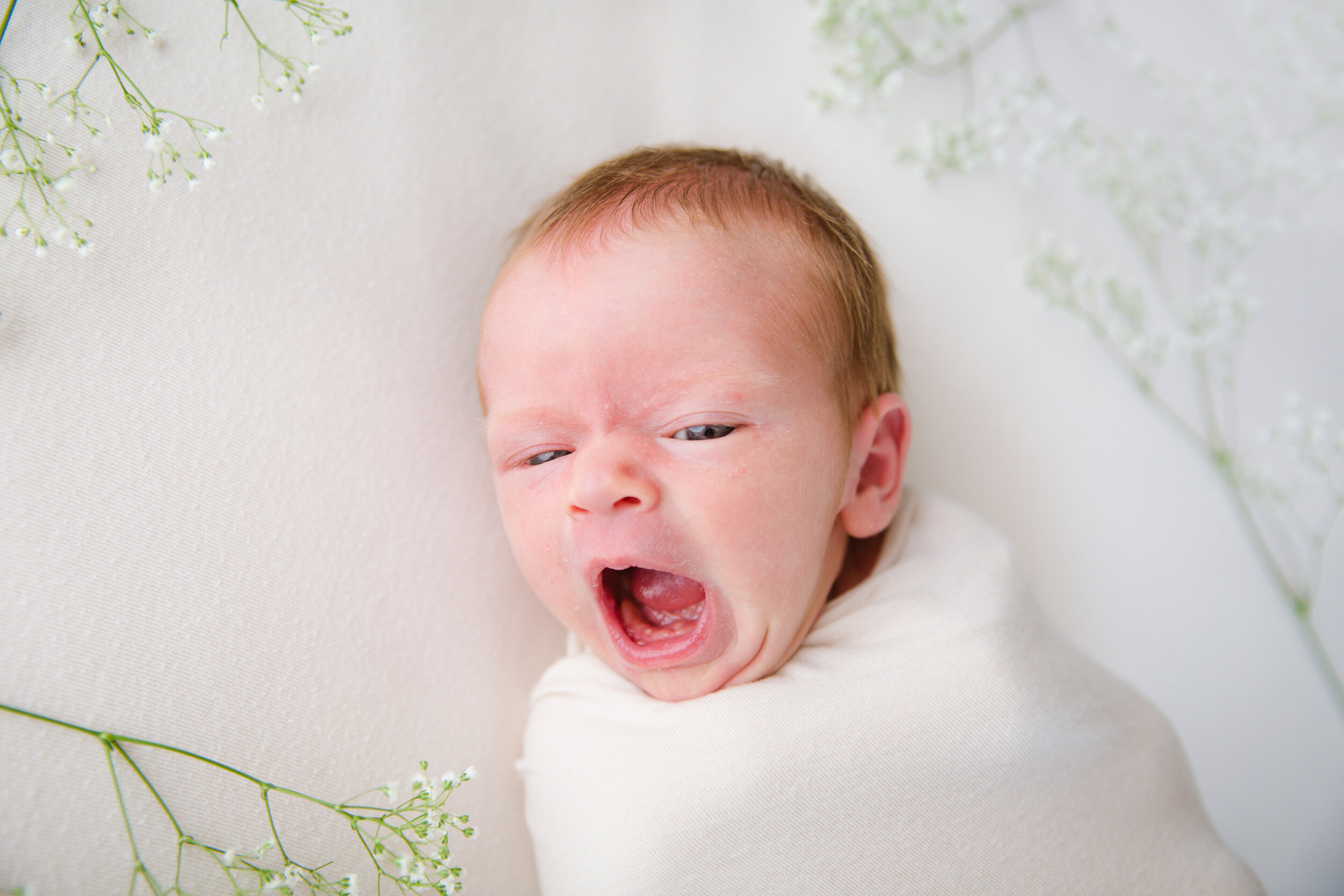 baby-temperament-newborn.jpg