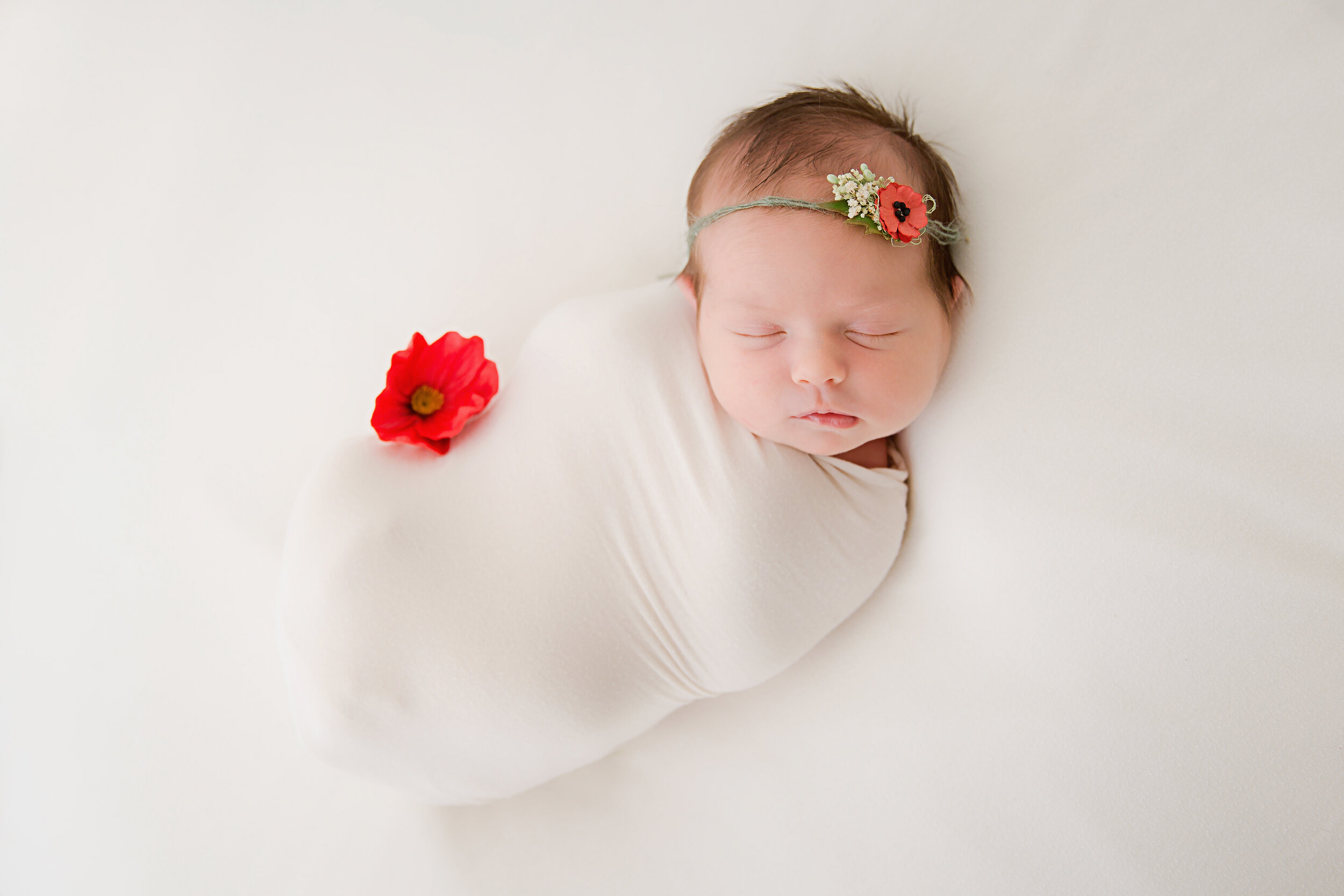 baby-girl-posed-newborn-swaddled