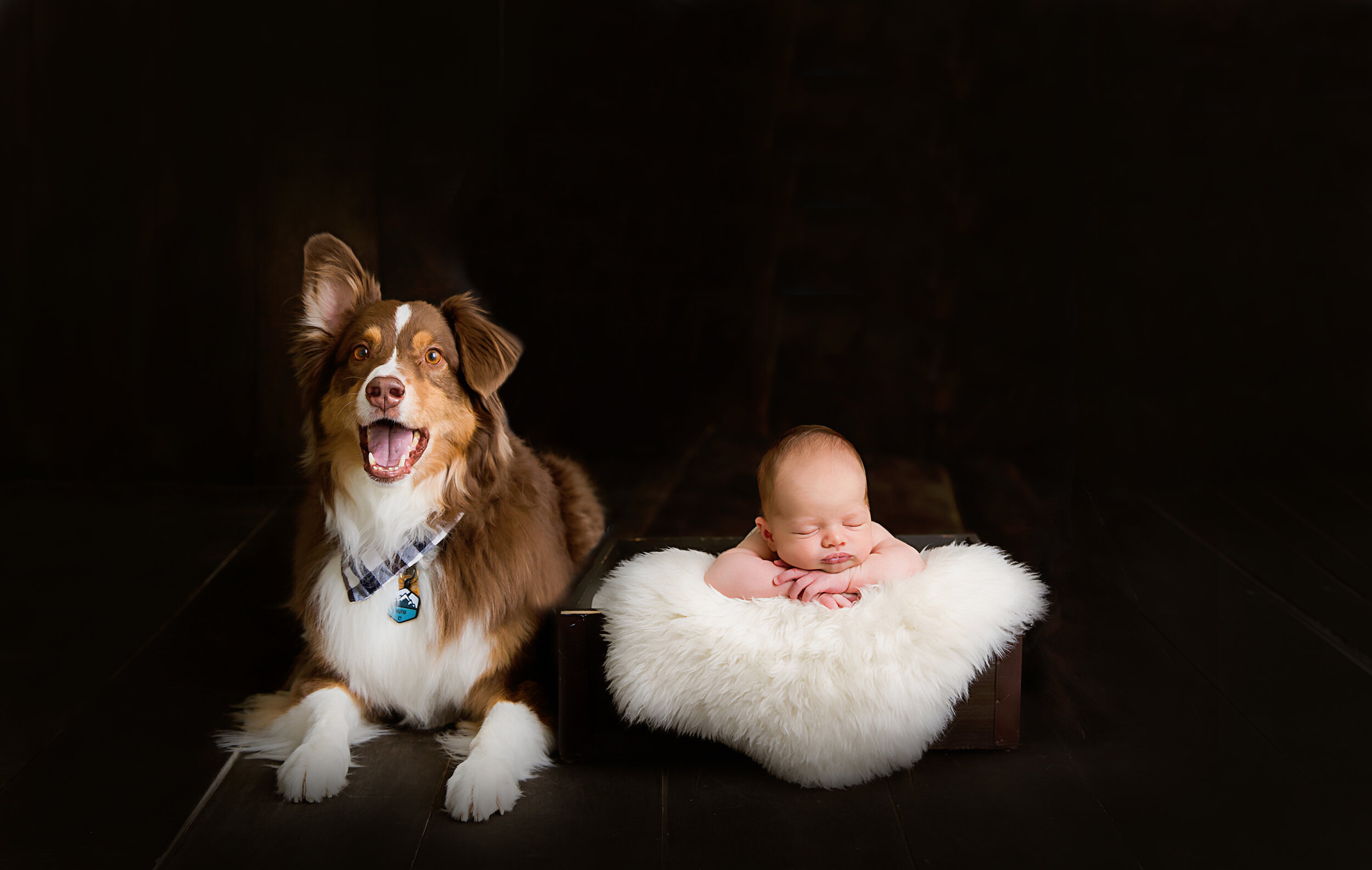 newborn-boy-laying-next-to-his-puppy