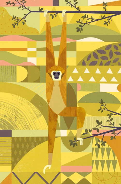gibbon_BD.jpg