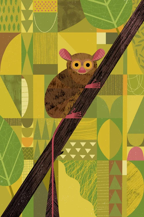 Tarsier_BD.jpg