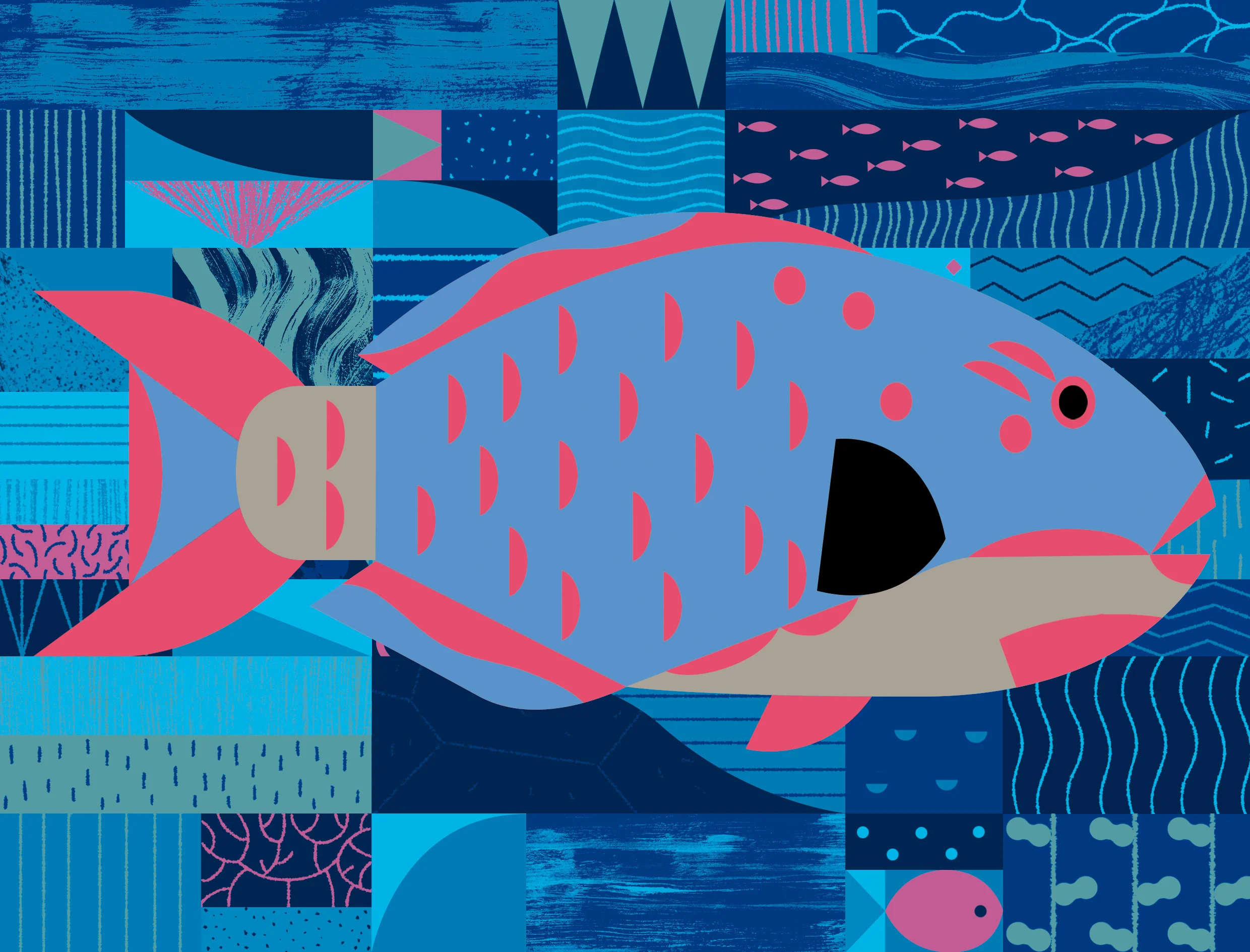 poissonperoquet_final01_BG_RVB.jpg
