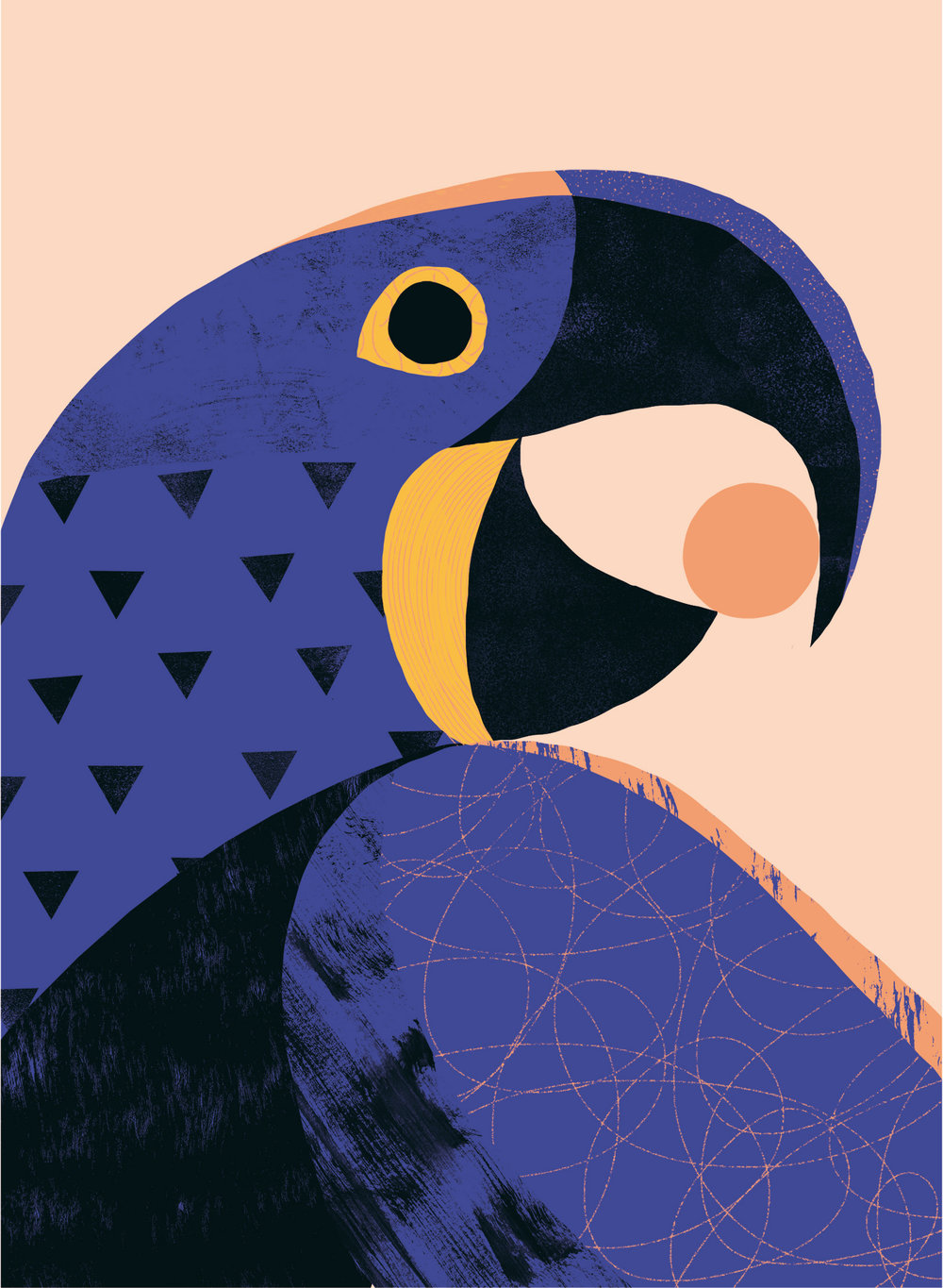 hyacinthmacaw_BD_RVB.jpg