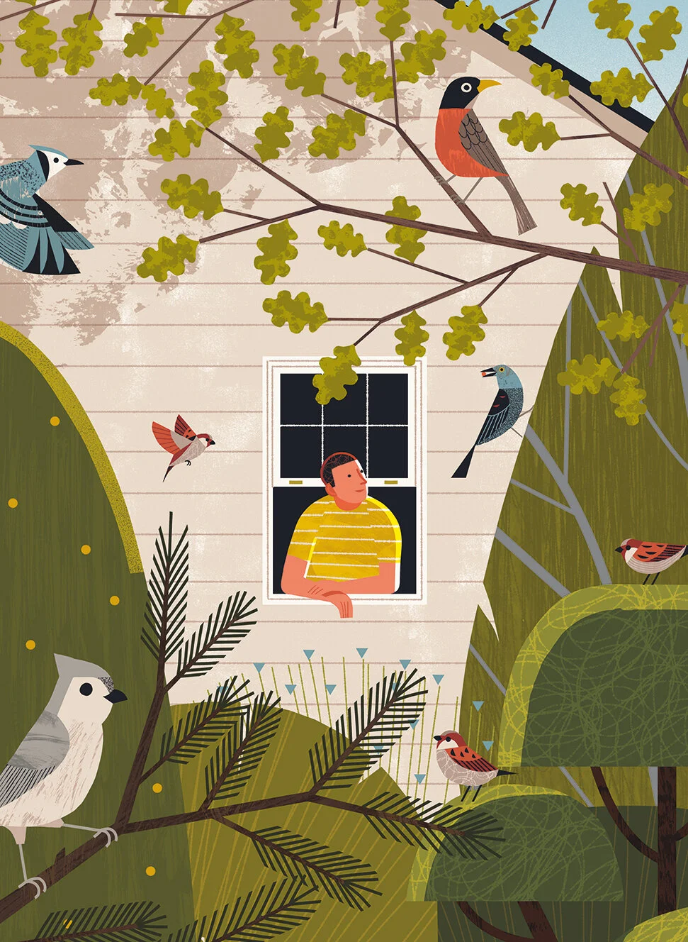 The New York Times - Birdwatching