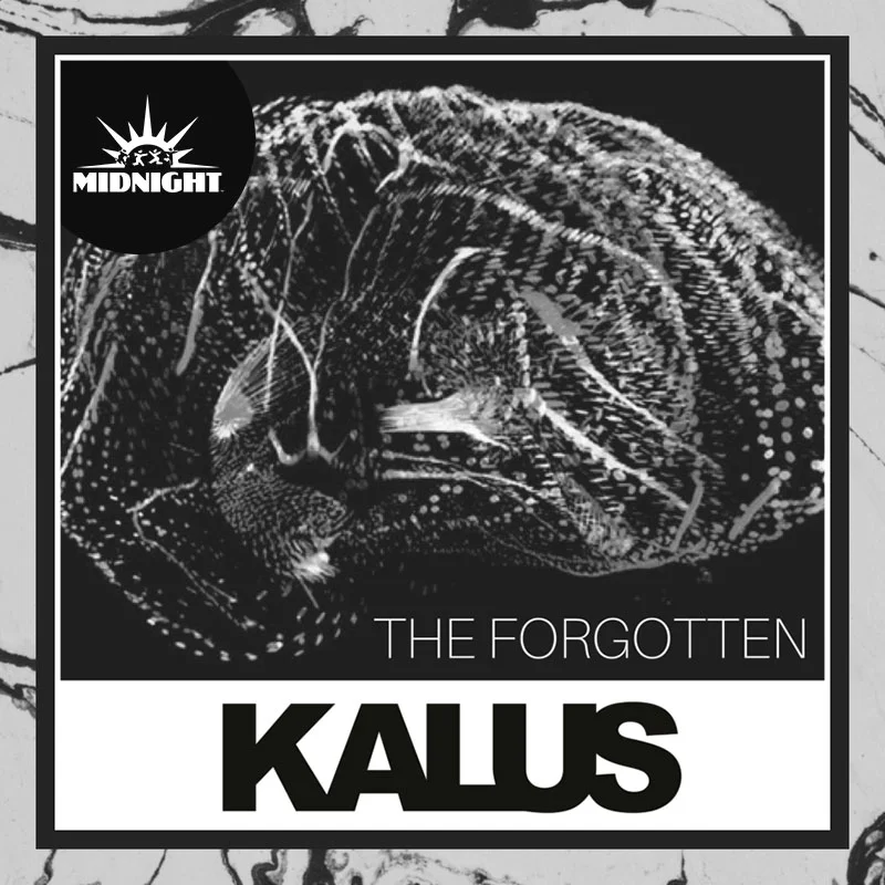 kalus-forgotton-1.jpg