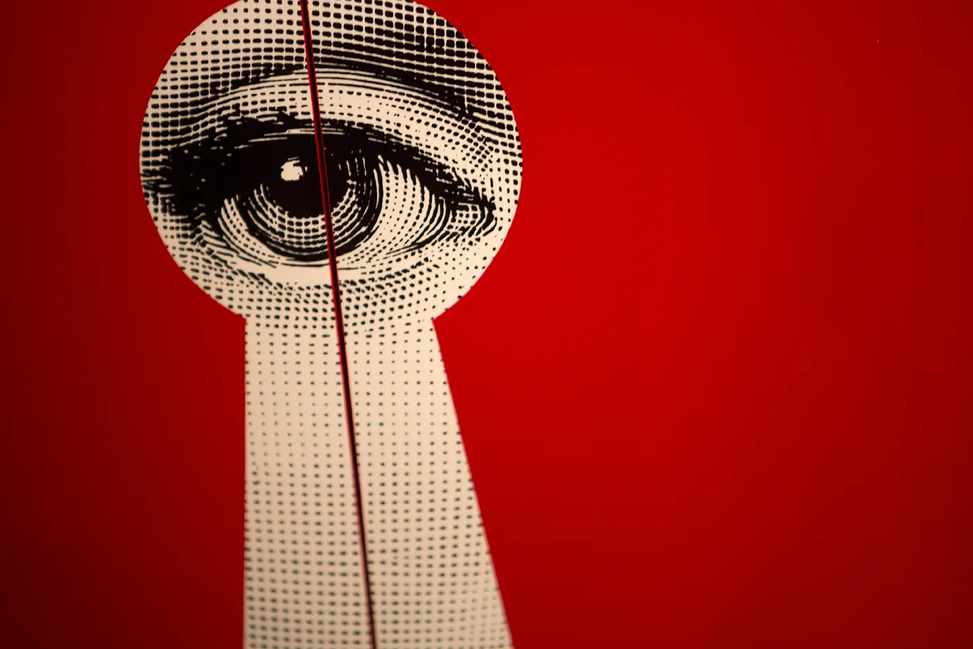 HUAWEI:Fornasetti_046A7437.jpg