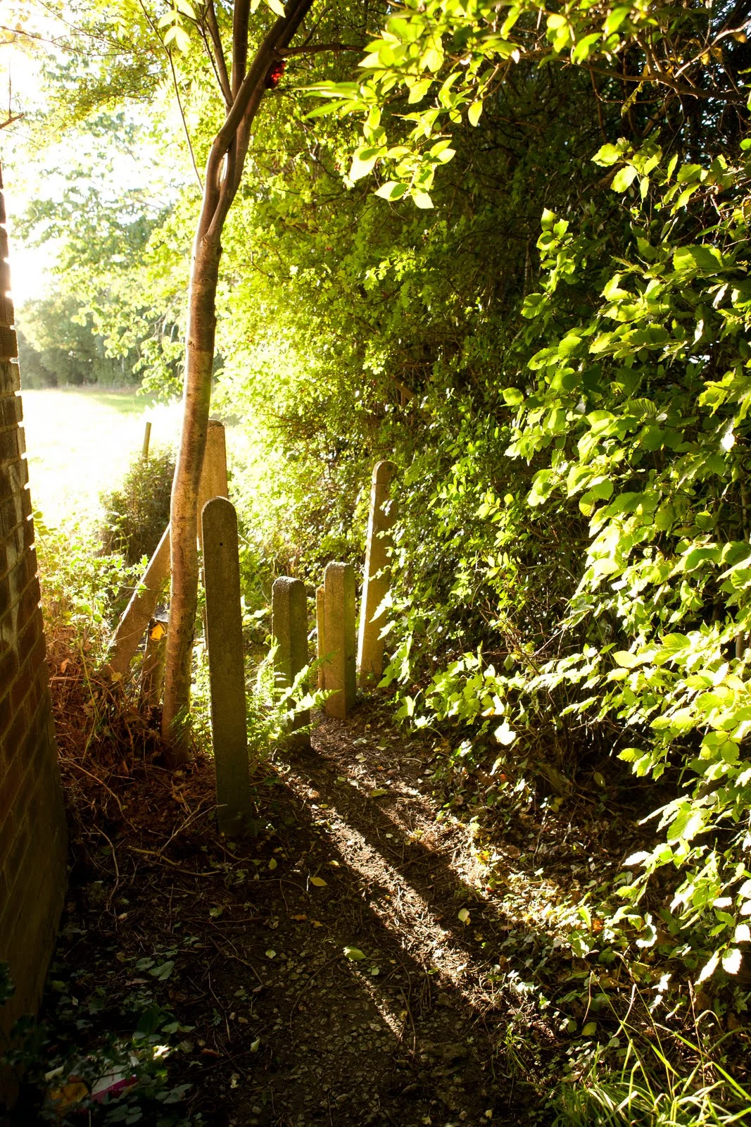 Rkellyphoto Fred Perry Way 1.jpeg