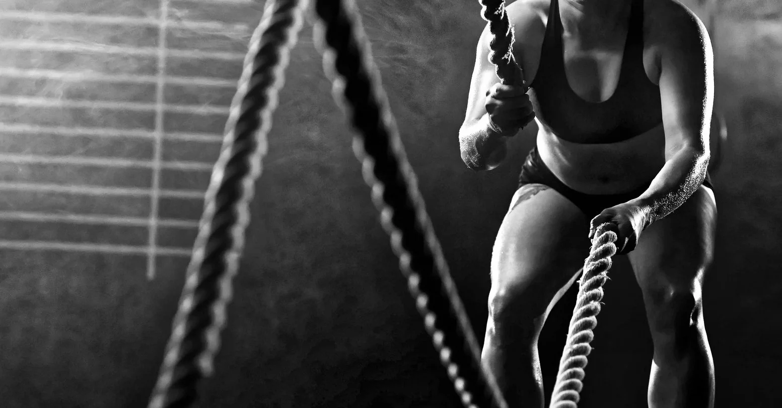 ropes.jpg