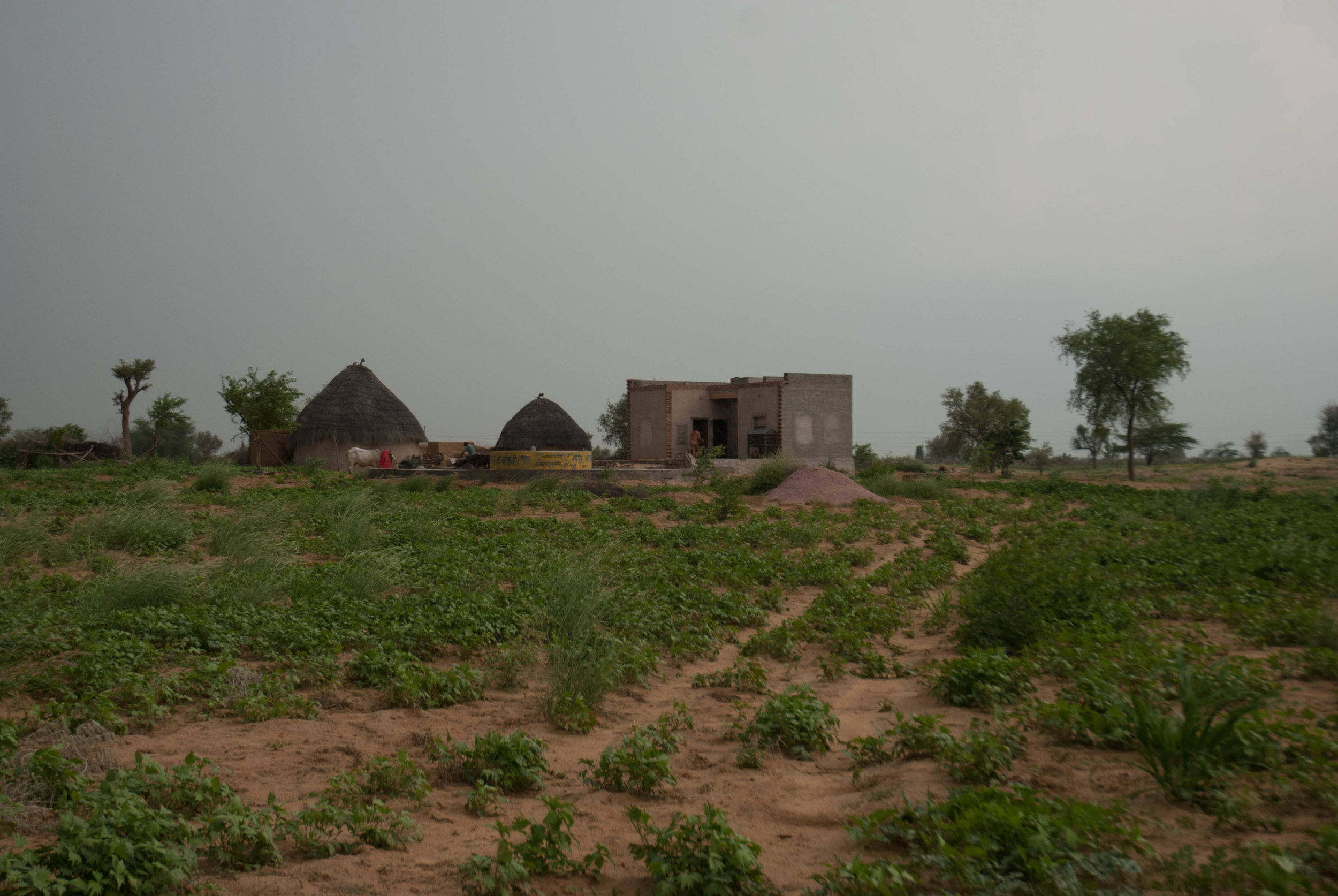  Iron-deficiency anemia is a common phenomenon among women in Bikaner.&nbsp; Due to the infertility of the land, there is a scarcity of green vegetables, a major source of iron. 