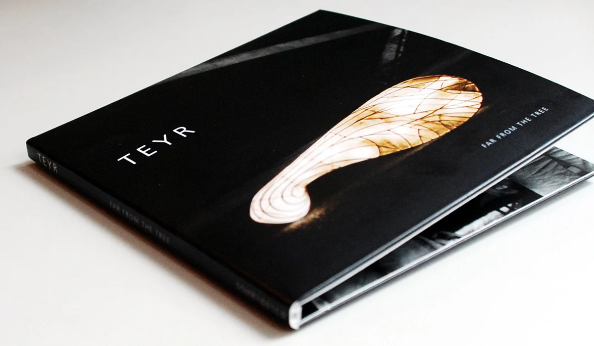  TEYR /&nbsp;Sleight of Hand Records CD wallet cover   