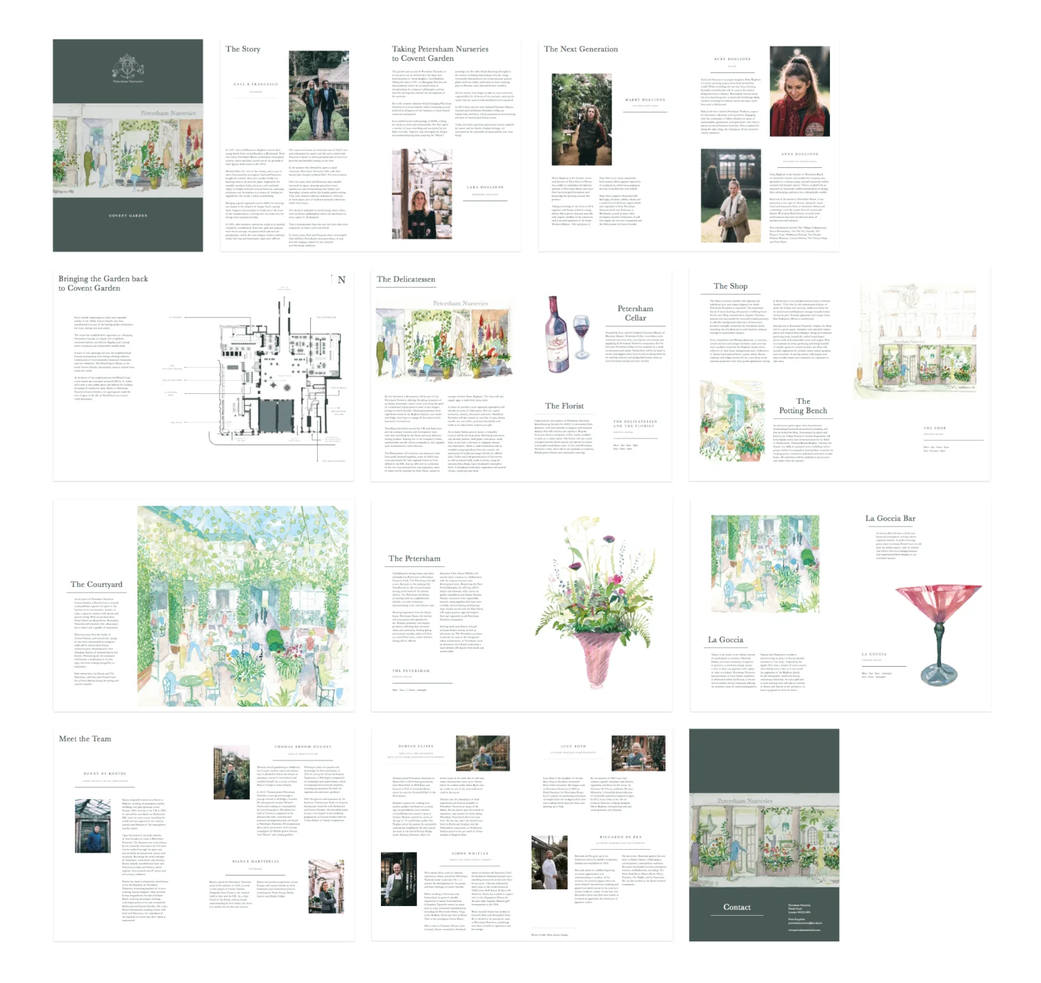 Petersham Nurseries Covent Garden Press Pack Illustration: Alex de Rivaz Design: Dan Biddulph