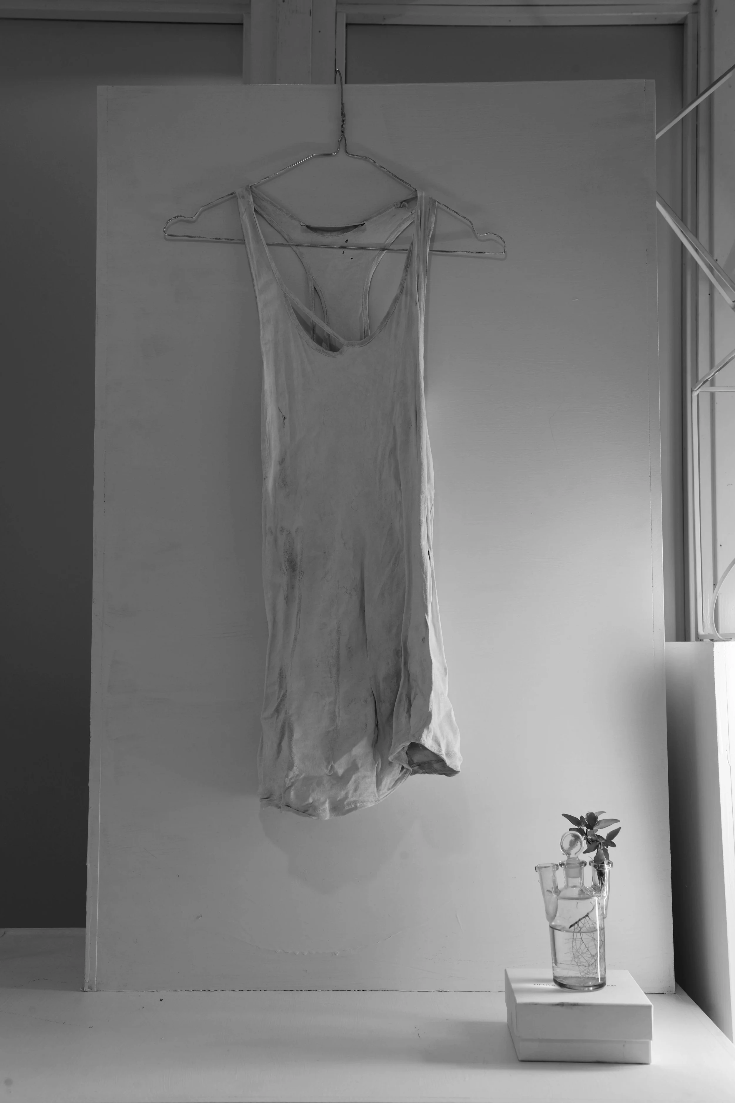 _DV11208.jpg