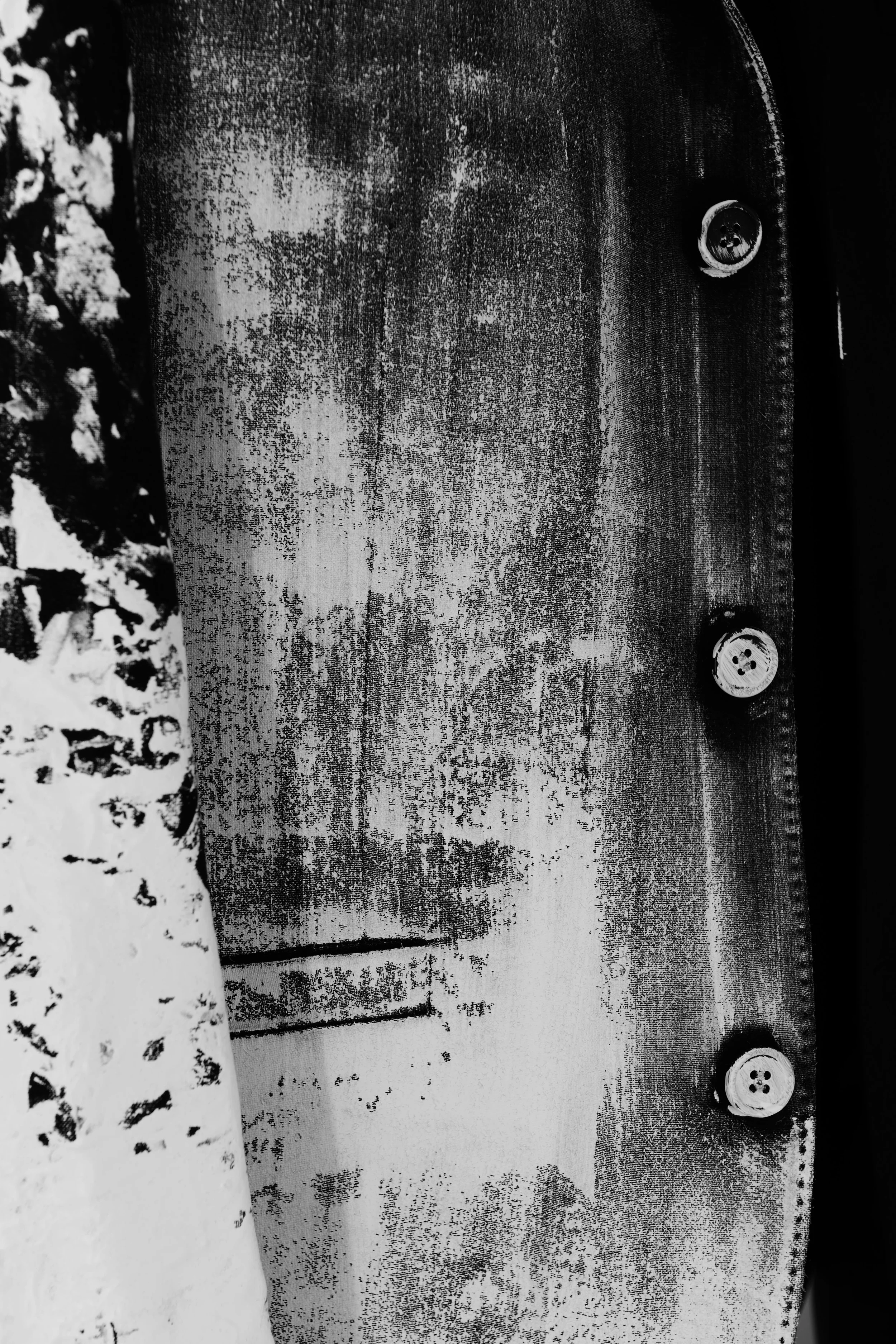 _DV11219.jpg