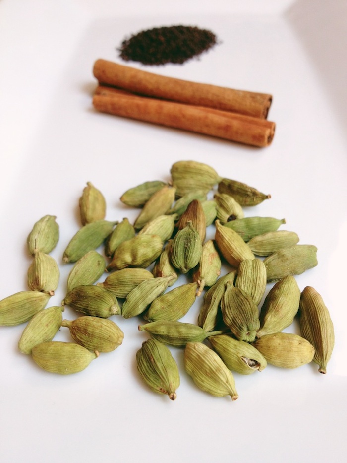 THE BEST AUTHENTIC INDIAN CHAI — JOYA LOGUE