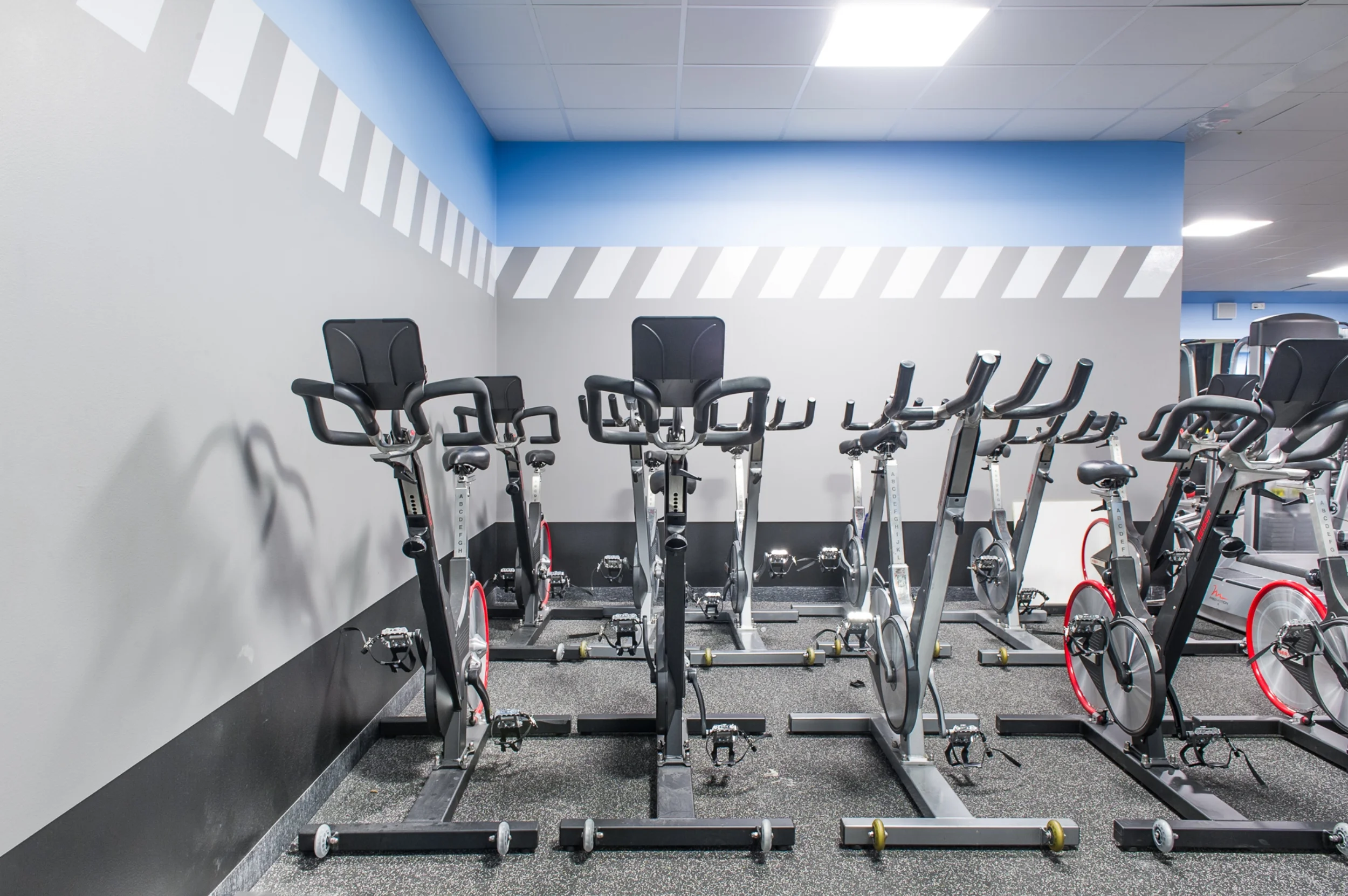 MFF_VIP23&Gym_Web-5.jpg