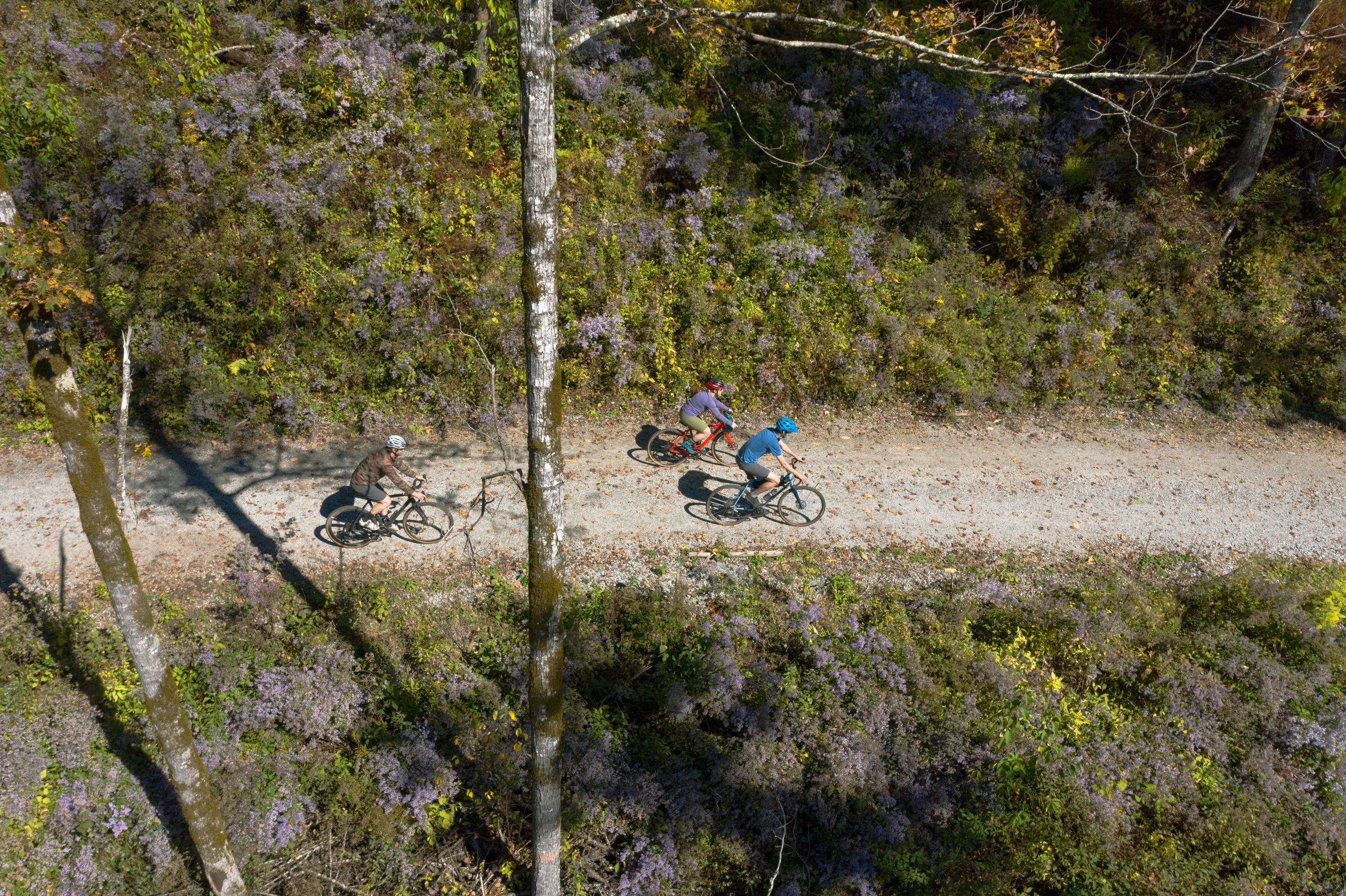 Bikes on the Road_WEB.jpg