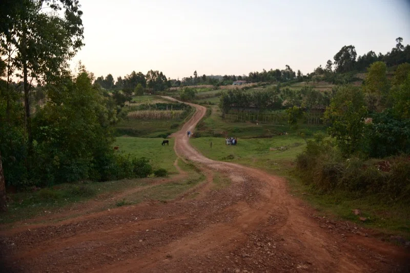 Road Traveled.jpg
