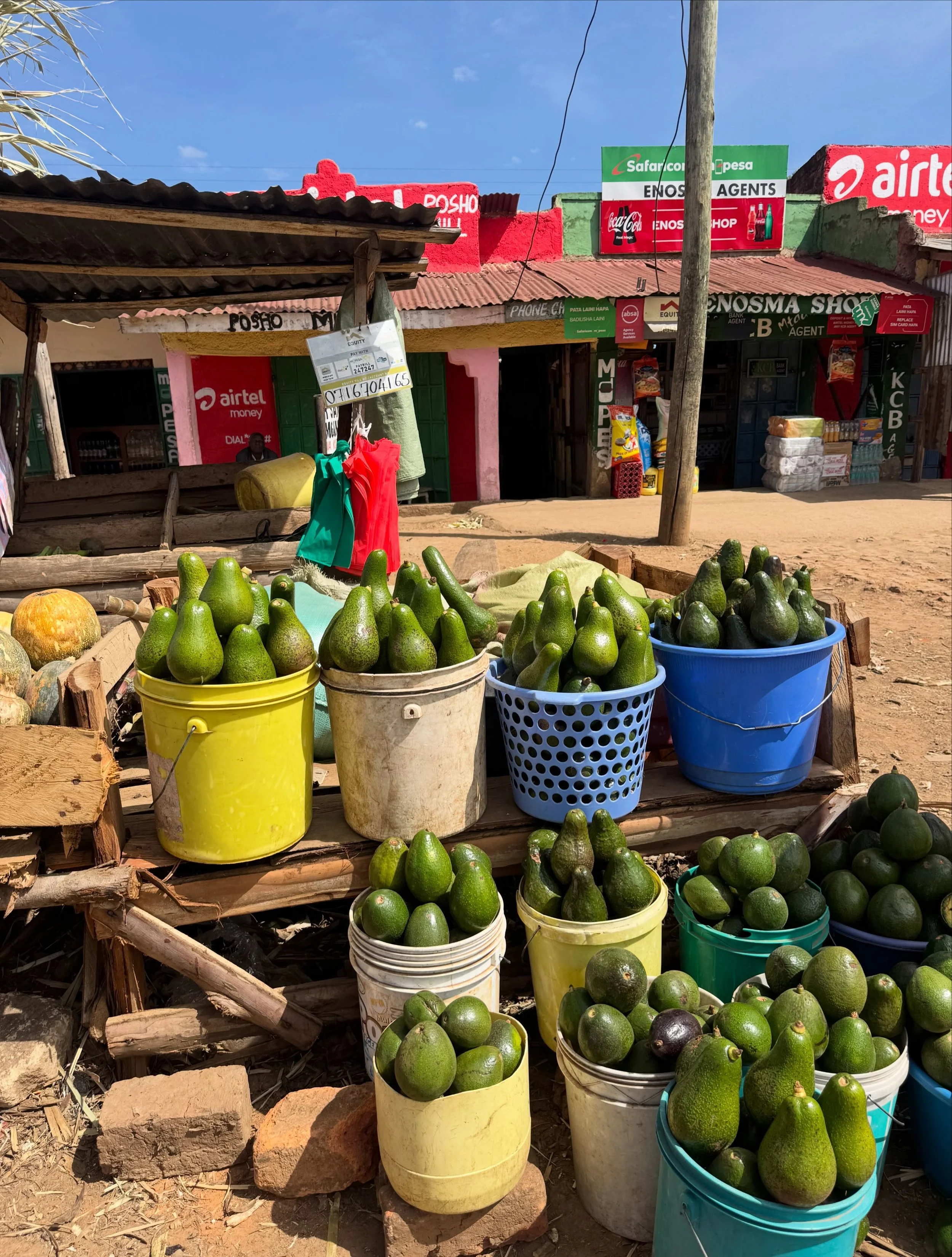 Kisii, land of avocados, bananas, and tea 🍃 lots and lots of tea ☕️ #kisii #kenya #kenyanblacktea #madeinkenya