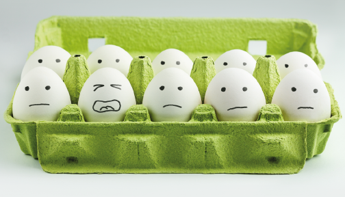 BELBIN TEAM ROLES IN A CRISIS