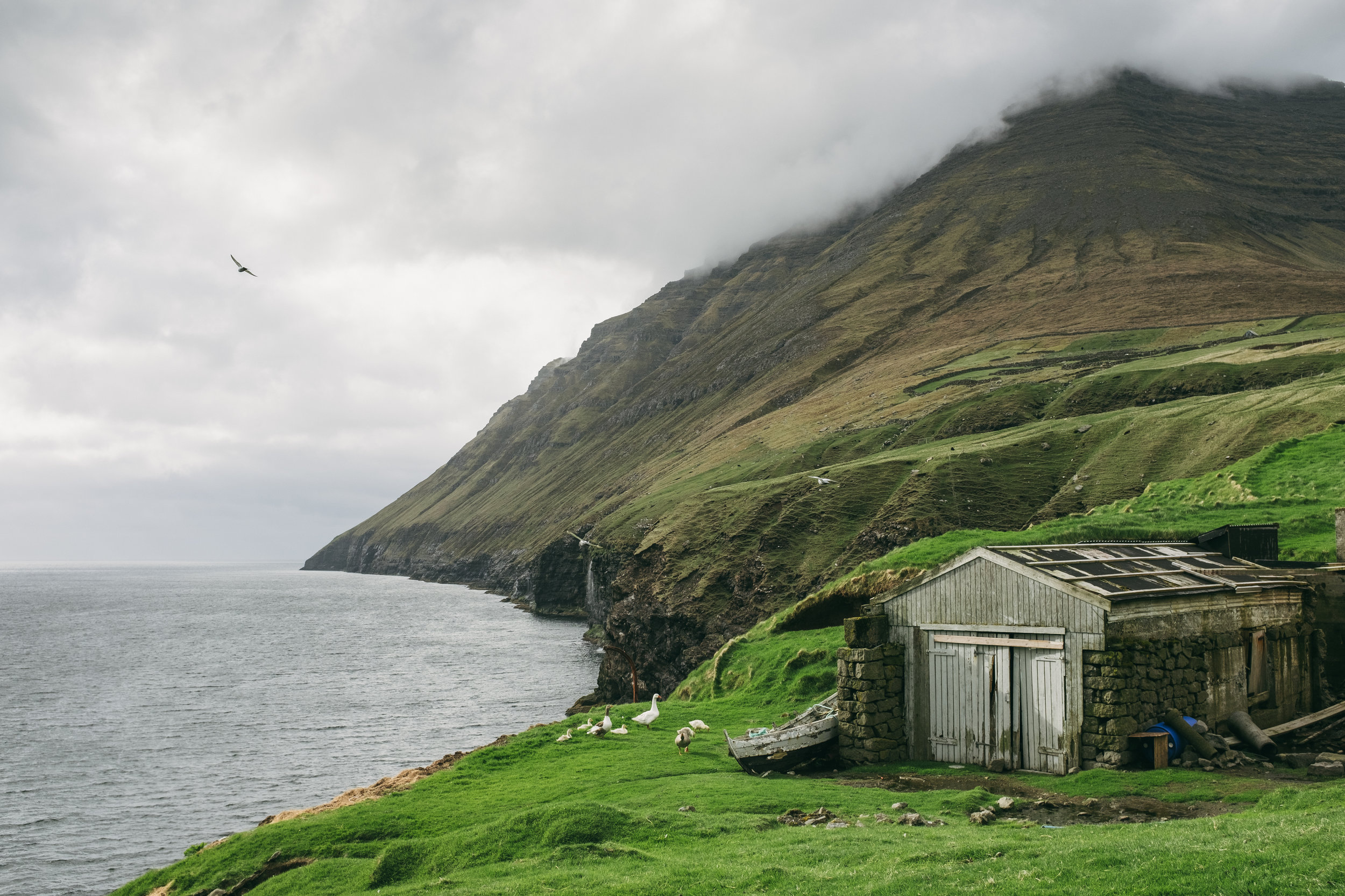 Faroe Islands F-20170523-708.jpg
