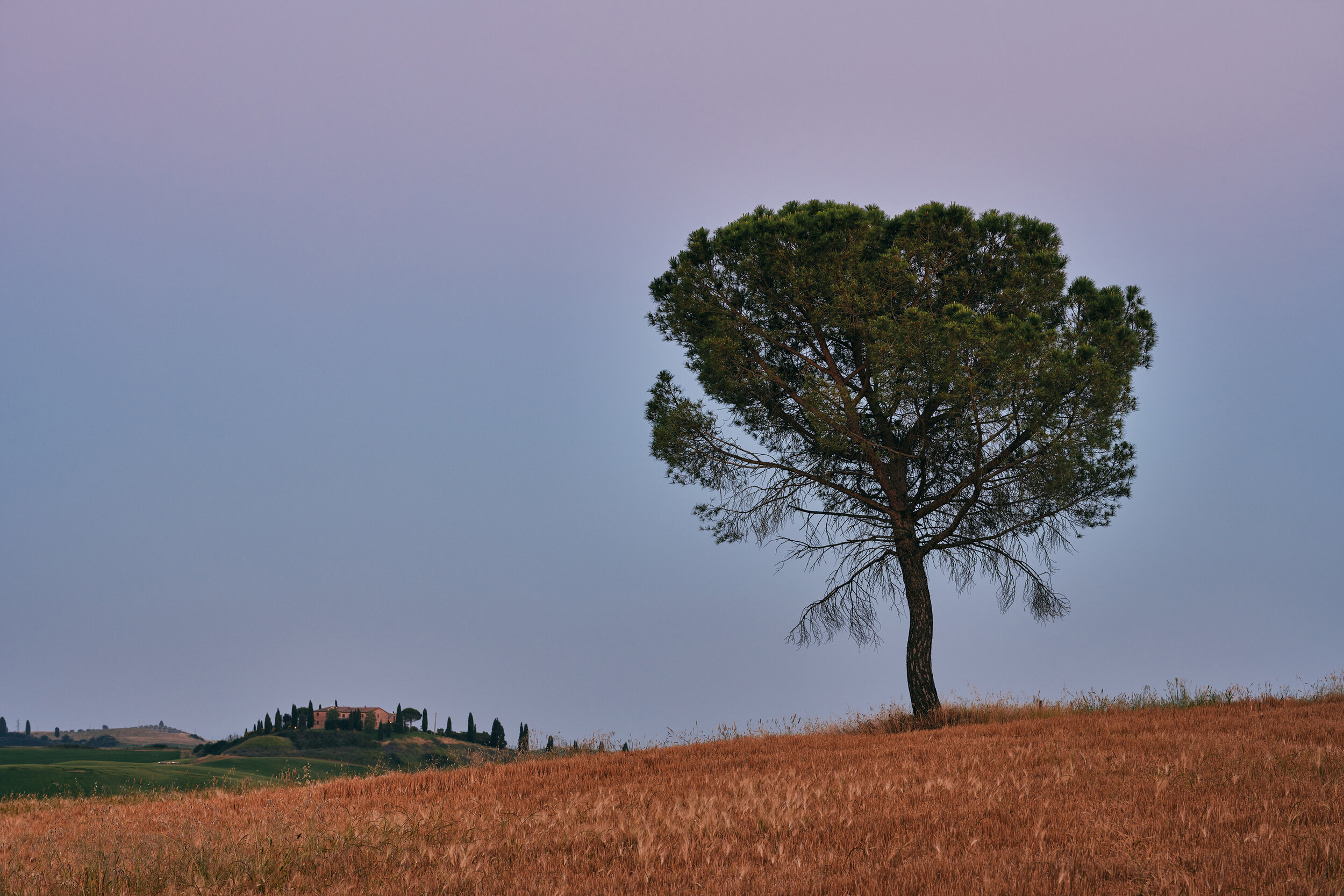 Tuscany-3408.jpg