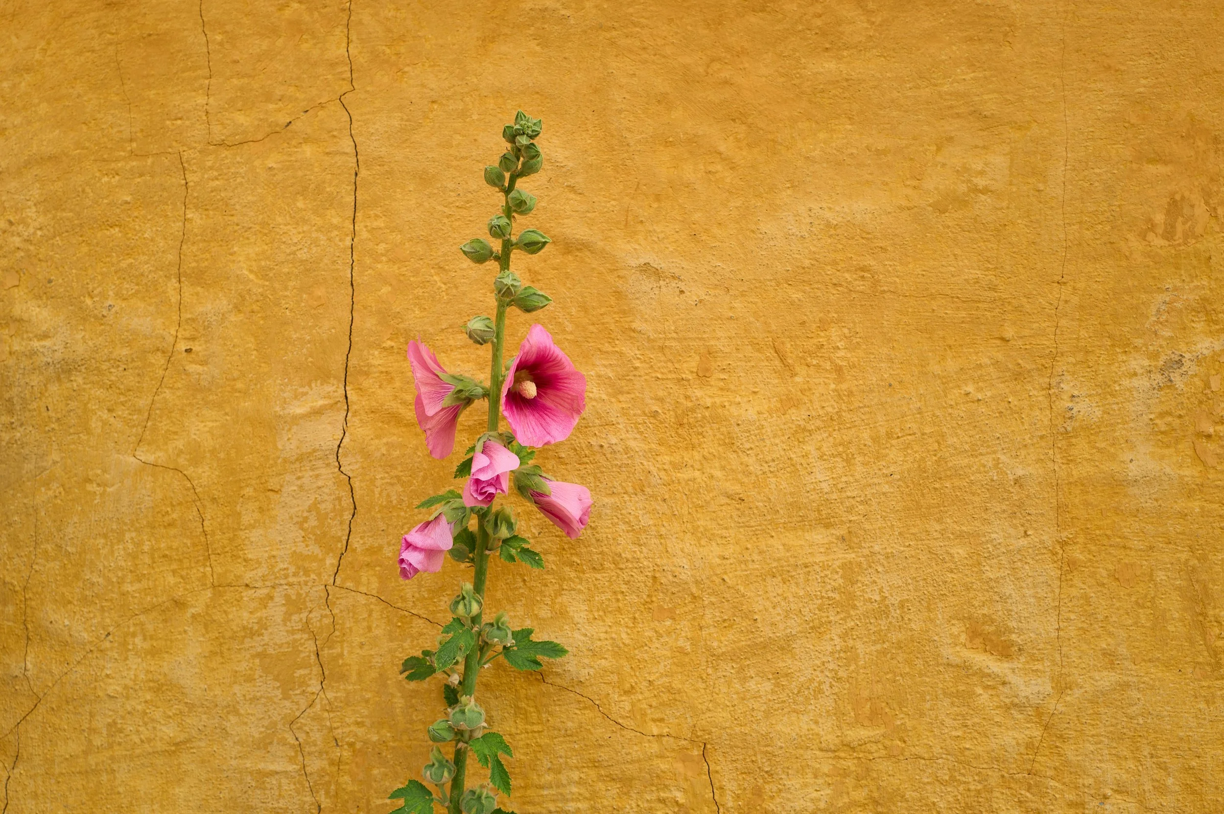 L1026428.jpg