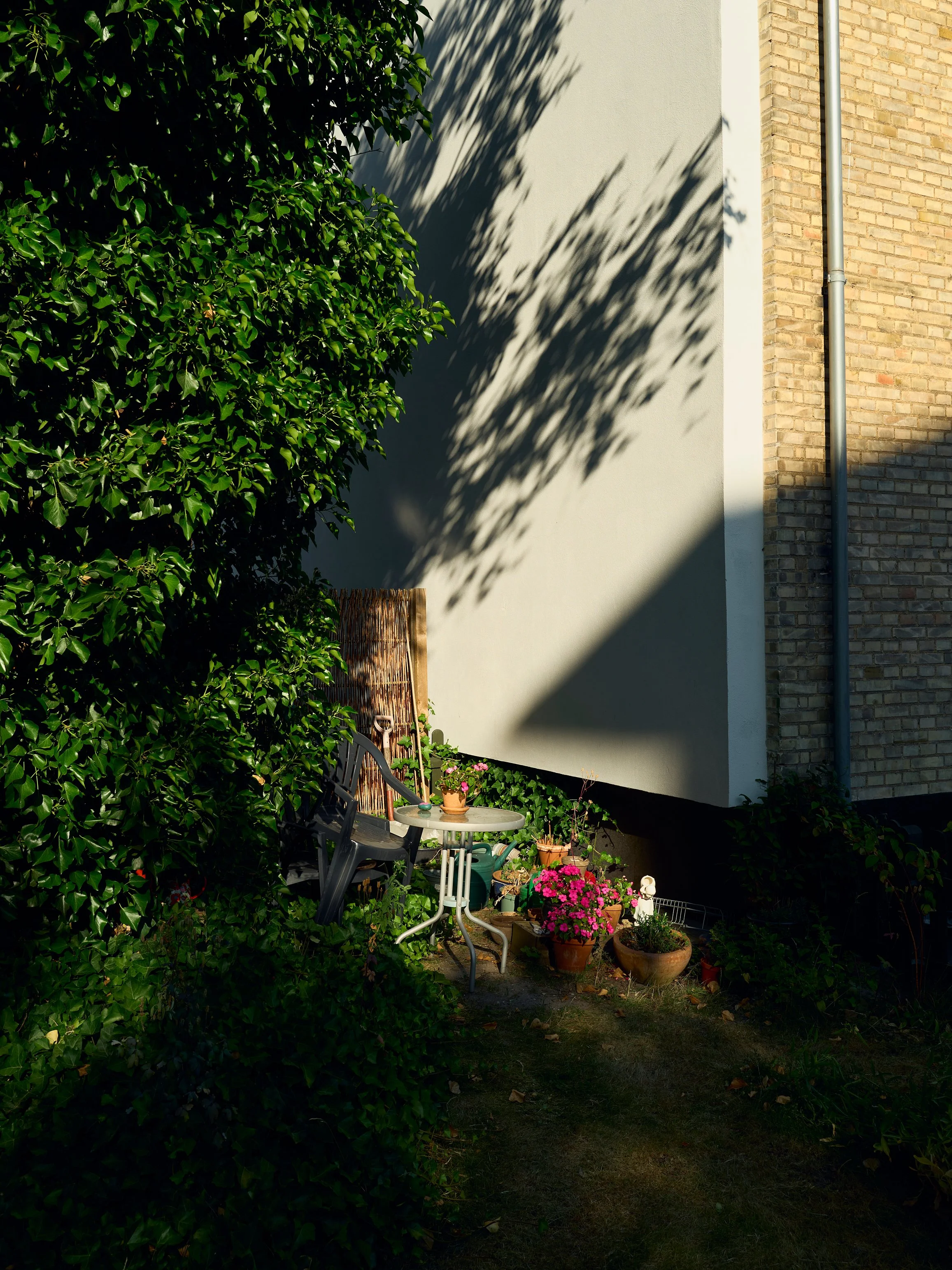 L1026216.jpg