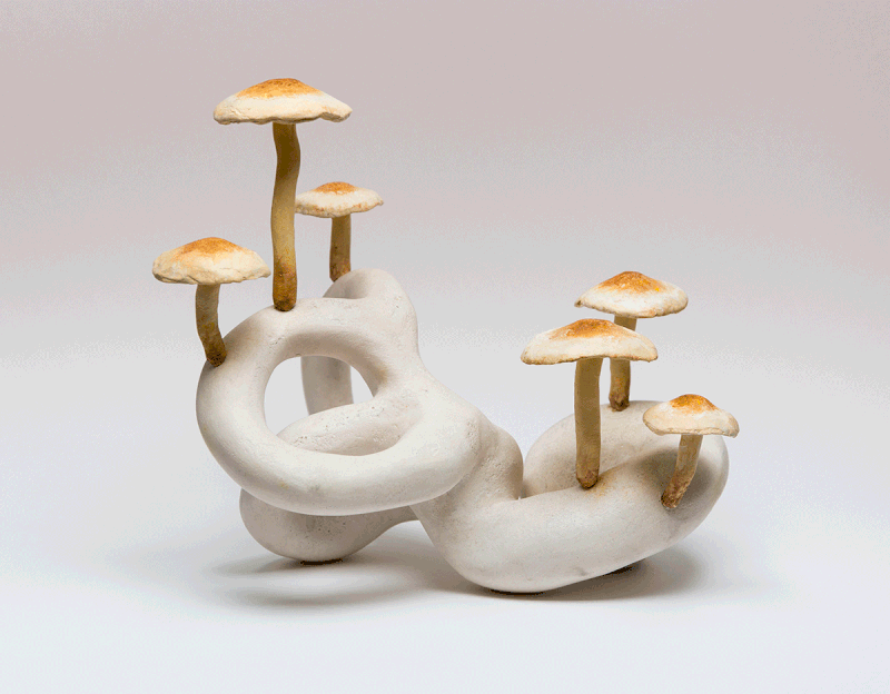 Mushrooms: The Art, Design and Future of Fungi
