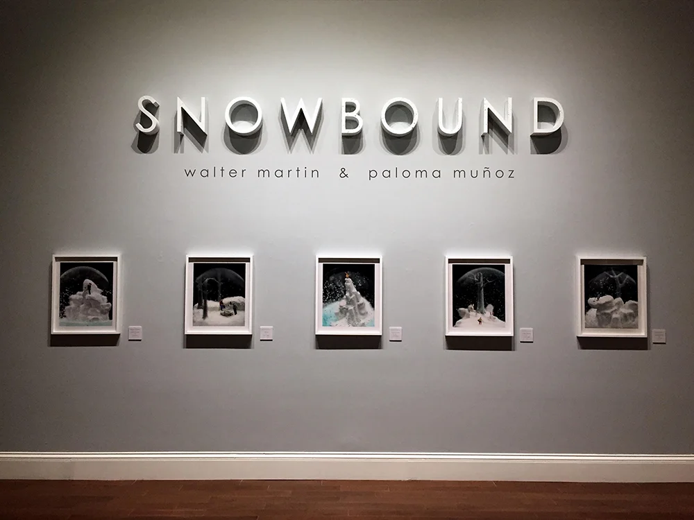 Installation View Cheeckwood Art Museum, Nasville, TN