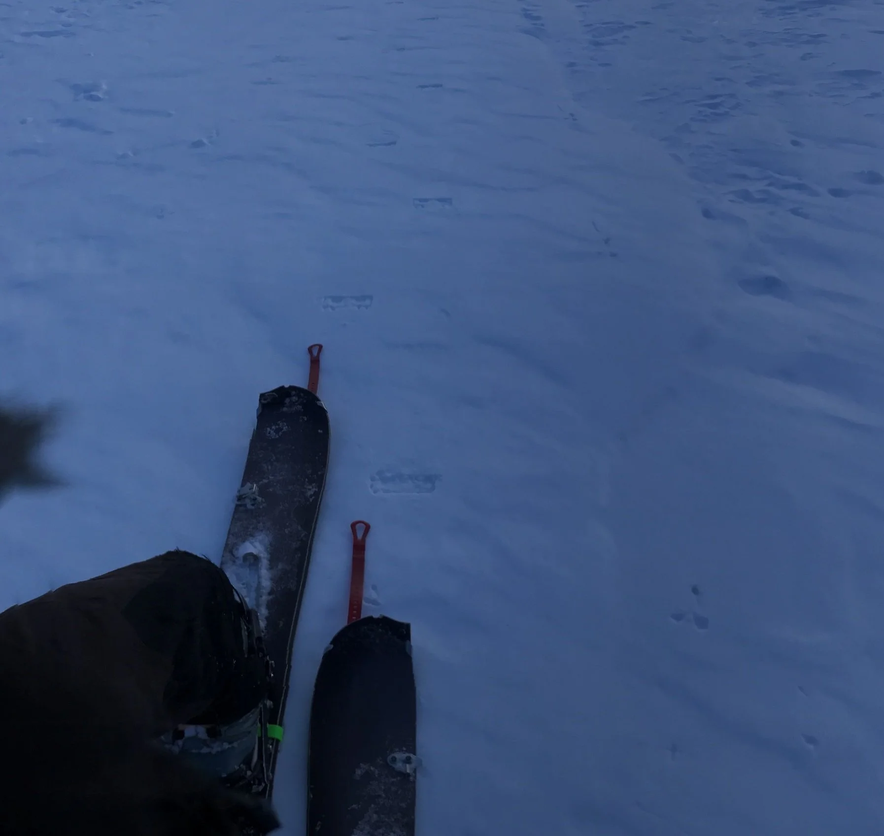 Skeats™ Claws tracks on a shady icy north face approach