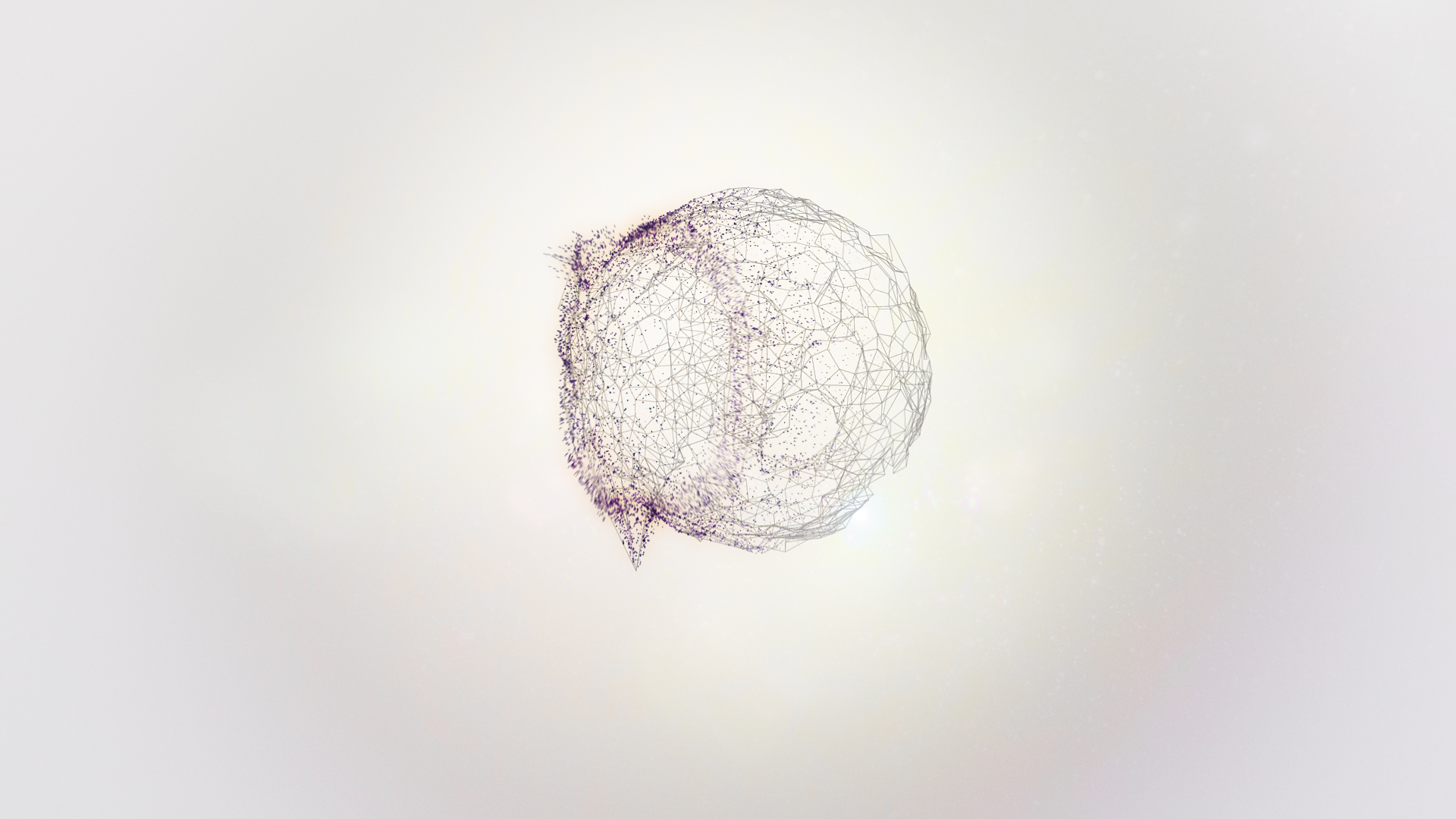MFR_NETWORK_035.jpg