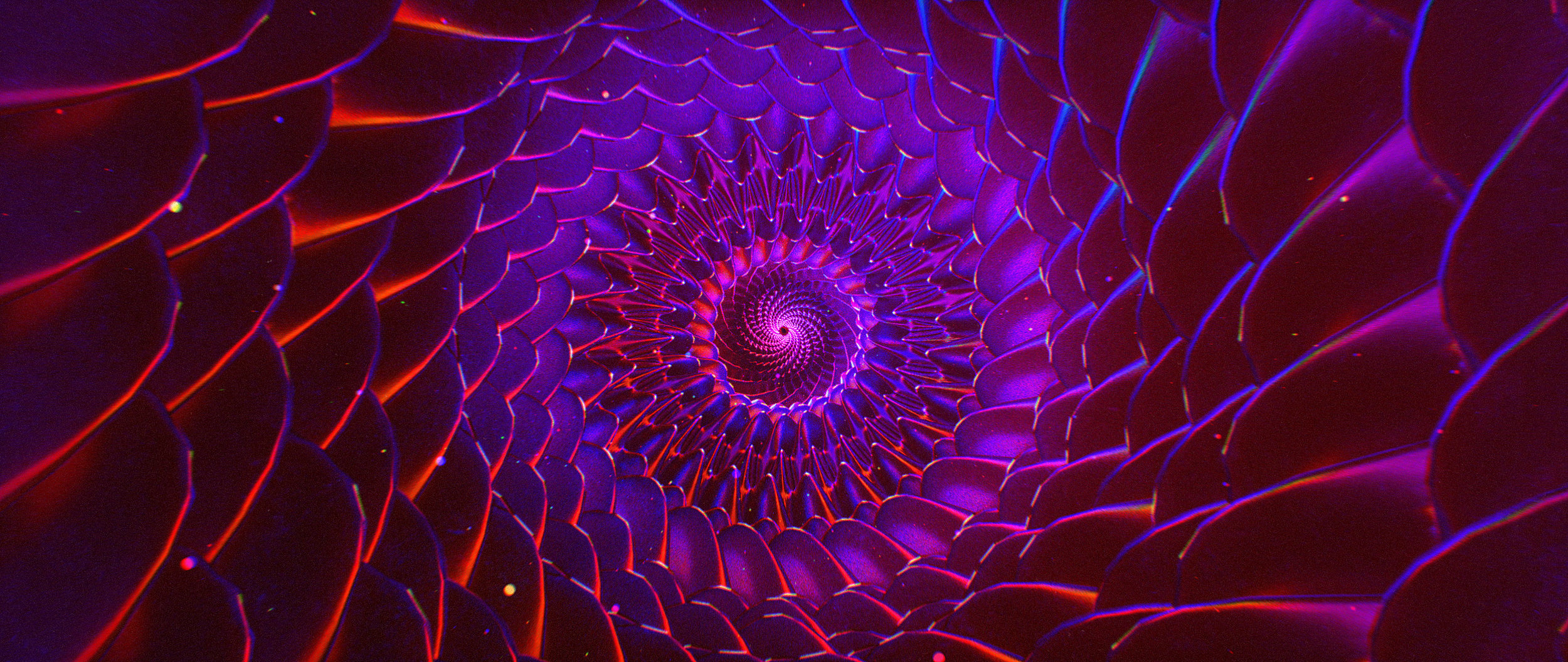 MFR_ADOBE_REMIX_AT_020.jpg