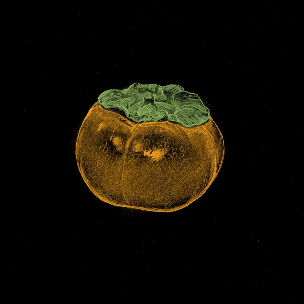 PERSIMMON.jpg